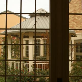 View of a house and garden through a window.