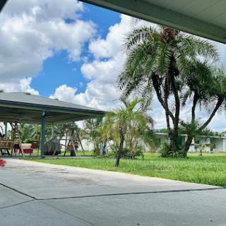 A serene backyard view with palm trees and a spacious patio under a blue sky.