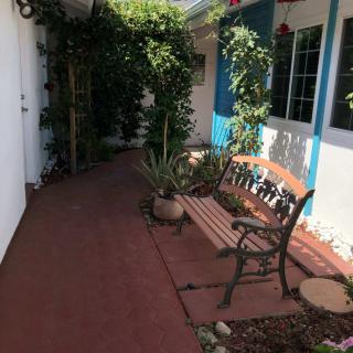 A tranquil outdoor pathway featuring a bench and lush plants.