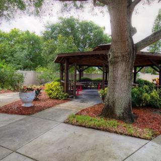 A serene garden area featuring a gazebo surrounded by lush greenery and a large tree.