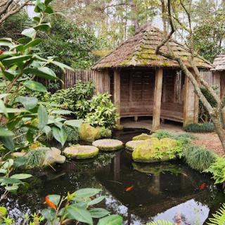 A serene Japanese garden featuring a tranquil pond and a traditional hut, surrounded by lush greenery.