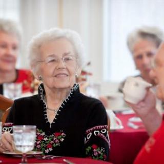 A group of seniors enjoying a social gathering with smiles and conversation.