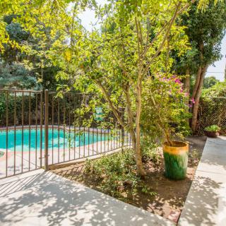 A serene backyard with a swimming pool, surrounded by trees and a secure fence.