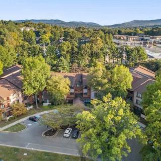 Aerial view of a residential area surrounded by trees and greenery, with buildings and a small parking lot.