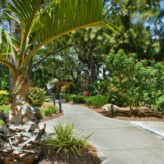 A serene pathway winding through a lush garden filled with vibrant greenery.