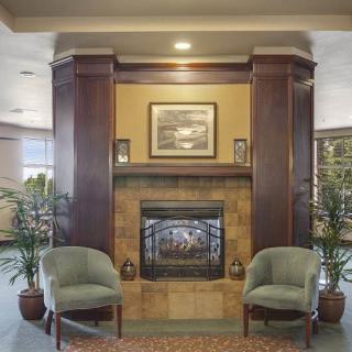 A cozy living room with a fireplace, framed by wooden panels, flanked by two chairs and potted plants.