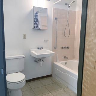 A clean, modern bathroom with a toilet, sink, and shower over a bathtub.
