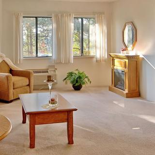 A cozy living room with a sofa, coffee table, and a fireplace, illuminated by natural light from the windows.