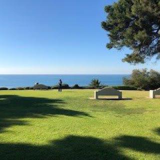 A serene park with benches overlooking the ocean.