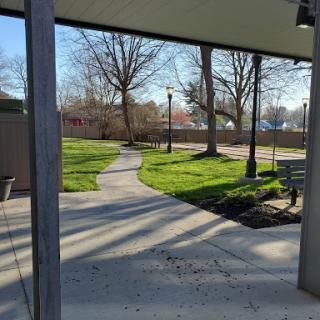 A serene park pathway lined with trees and grass, inviting relaxation.