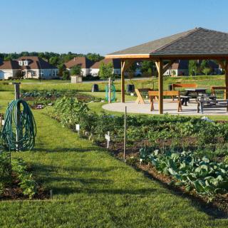 A lush community garden with a wooden pavilion under a clear blue sky.