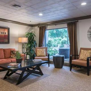 A cozy living room with modern furniture including a sofa, chairs, and a coffee table, complemented by an indoor plant and soft lighting.
