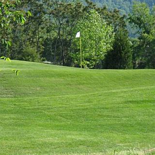 A serene view of a golf course green with a flag in the distance, surrounded by lush trees.