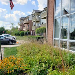 A sunny day showcasing an apartment building with vibrant landscaping and a flag waving in the breeze.