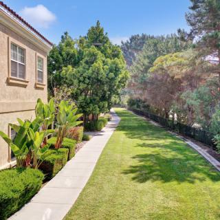 A peaceful residential area with a sidewalk bordered by a lawn and lush greenery.