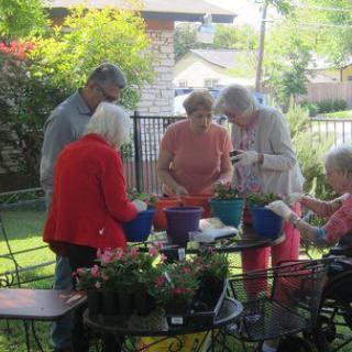 A group of people enjoying a gardening activity together outside on a sunny day.