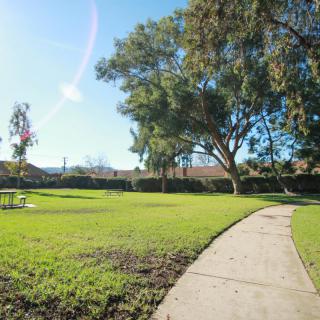 A sunny day in a park with a winding pathway and lush green trees.