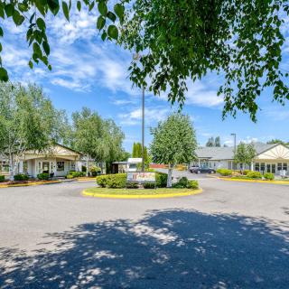A sunny day featuring a circular driveway surrounded by trees and buildings.