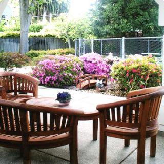 A cozy patio set overlooking a vibrant garden with blooming flowers.