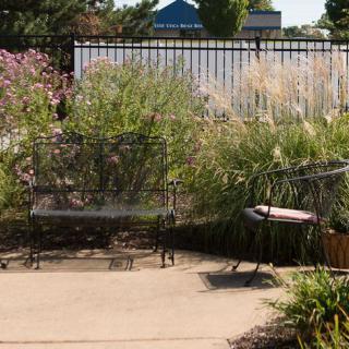 A garden patio with a bench and chairs surrounded by lush plants and foliage.