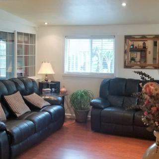 Cozy living room with leather sofas and wooden flooring, featuring a lamp and indoor plant.