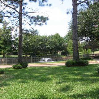 A scenic view of a park with tall trees, lush grass, and a fountain in the background.