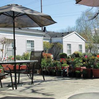 A sunny patio with outdoor furniture and a variety of potted plants.