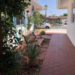 A tranquil patio with a wooden bench and potted plants under sunny skies.