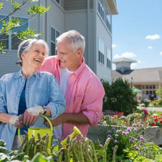 A senior couple enjoying gardening together outdoors.