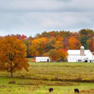A serene farm landscape in autumn, featuring vibrant foliage and a white barn amidst open fields.