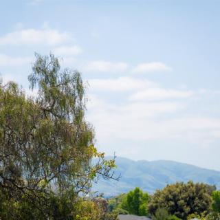 A serene landscape featuring trees with mountains in the distance under a clear blue sky.
