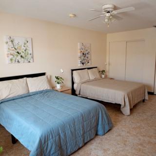 A cozy bedroom with two neatly made beds, decorated with artwork and plants.