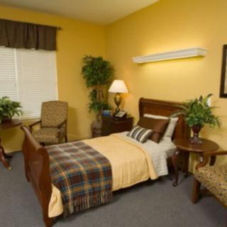 A cozy bedroom with yellow walls, a single bed, and decorative plants.