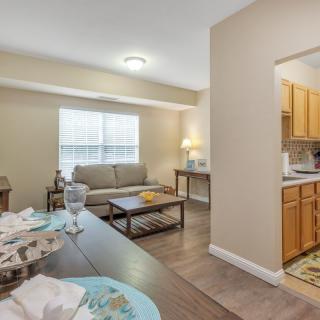 Cozy living room and kitchen in a modern apartment setting.