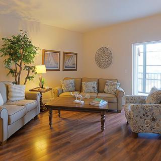 A cozy living room with comfortable seating, a coffee table, and decorative elements.