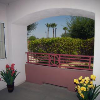 A serene view from a terrace adorned with flowering plants, overlooking a greenery-filled landscape.
