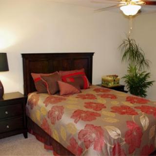 A cozy bedroom featuring a floral-patterned bedspread, bedside lamp, and indoor plants.