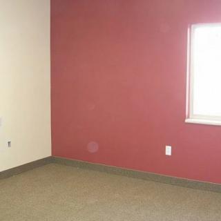 An empty room with a red accent wall and carpeted flooring, featuring a window that allows natural light in.