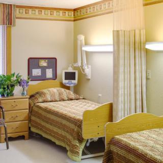 A hospital room with two beds, medical equipment, and a dresser with plants.