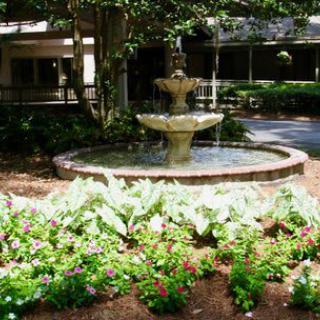 A serene garden with a central fountain surrounded by lush greenery and blooming flowers.