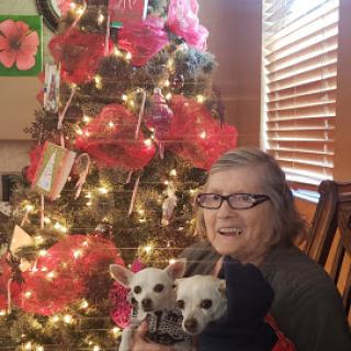 A joyful moment by the Christmas tree with two adorable dogs.