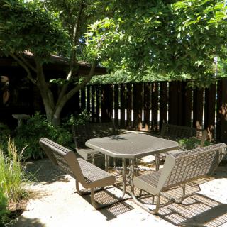A tranquil patio with garden furniture shaded by trees.