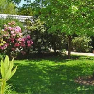 A lush garden with vibrant pink flowers and a variety of trees basking in sunlight.