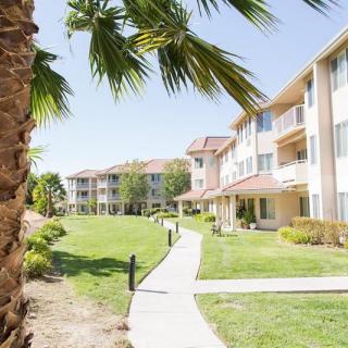 A sunny view of an apartment complex with palm trees and a well-maintained walkway.