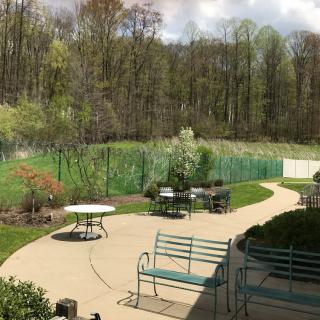 A peaceful backyard with a patio, surrounded by trees and garden.