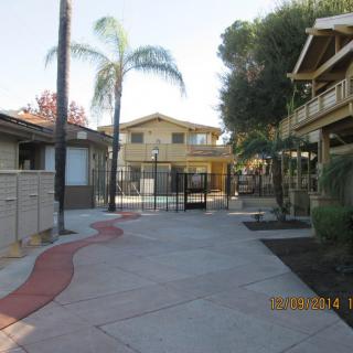 A sunny view of an apartment complex with palm trees and a pathway leading to a gated area.