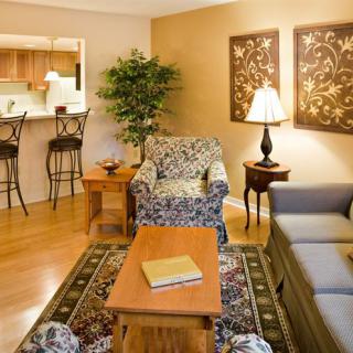 A cozy living room featuring a patterned armchair, sofa, coffee table, and decorative artwork on the wall.