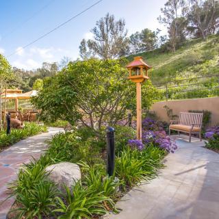 A scenic garden pathway lined with lush greenery, trees, and a wooden birdhouse, offering a serene outdoor space.