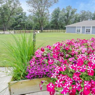 A vibrant garden with blooming pink flowers set against a tranquil rural landscape.