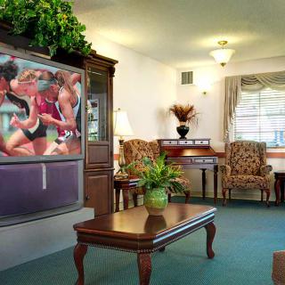 A cozy living room with a large TV, comfortable chairs, and green plants.